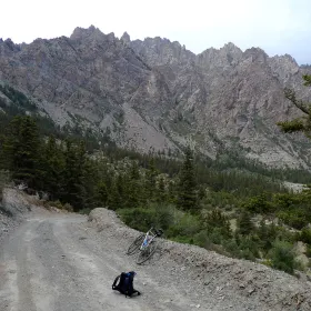賀蘭山原始森林
