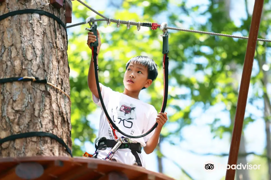 Datanla High Rope Course