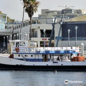 Redondo Beach Whale Watch