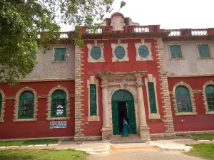 Forest College Museum