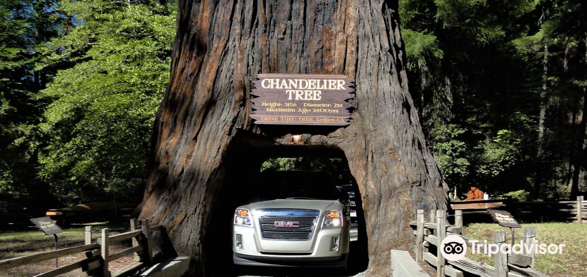 Leggett Travel Guide 2023 Things to Do, What To Eat & Tips