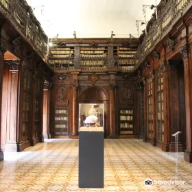 Biblioteca Lucchesiana