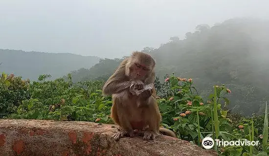 絶対に行くべきジャムシェドプルの観光スポット トリップドットコム
