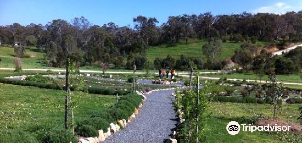 กิจกรรมน่าทำยอดนิยมในBiggs Flatประจำปี 2023 คู่มือท่องเที่ยวBiggs