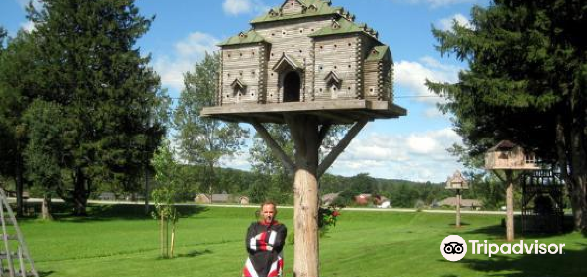 Belgrave 2023 Top Things to Do Belgrave Travel Guides Top