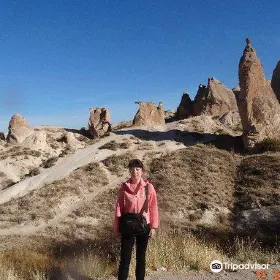 Camel Rock