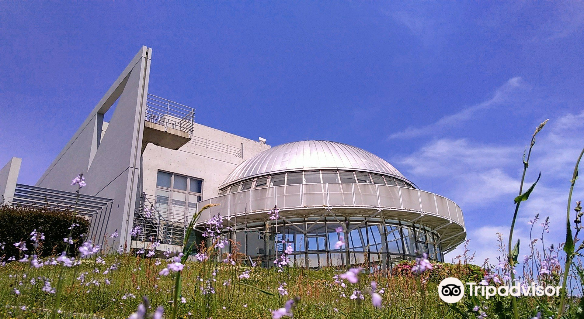 諫早 コスモス花宇宙館 評判 案内 トリップドットコム