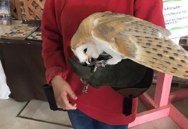 だっこして！Zoo 観光スポットの人気写真