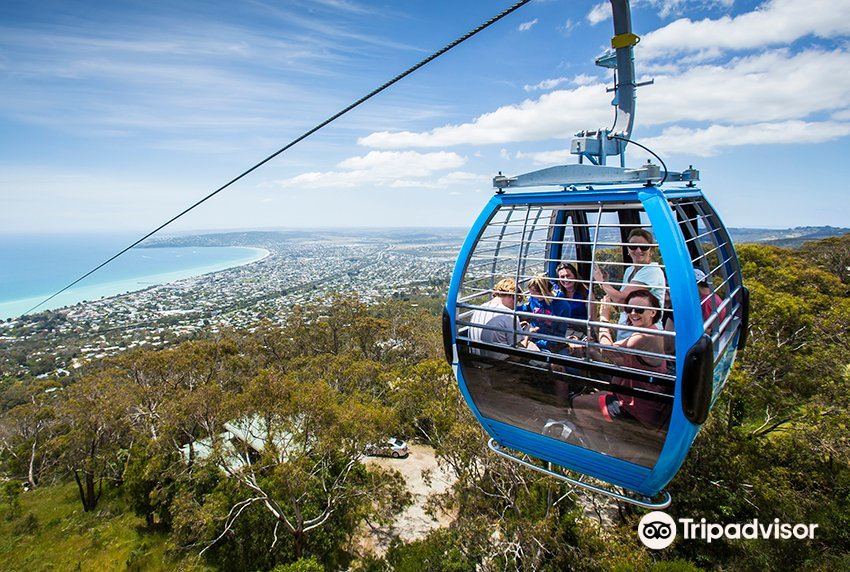 the enchanted adventure garden