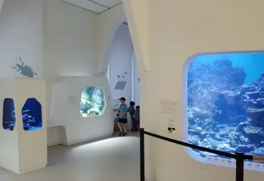 Naturkundemuseum Karlsruhe รูปภาพAttractionsยอดนิยม