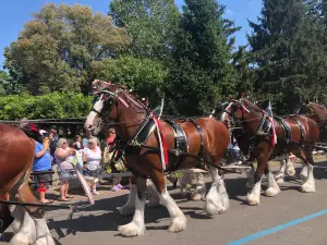 オハイオ博覧会