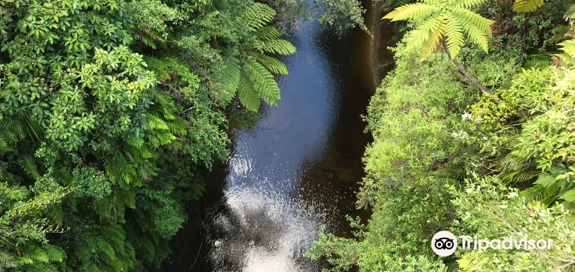 10 Best Things to do in Wanganui, Wanganui District Wanganui travel