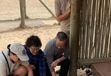 Cape Town Ostrich Ranch รูปภาพAttractionsยอดนิยม