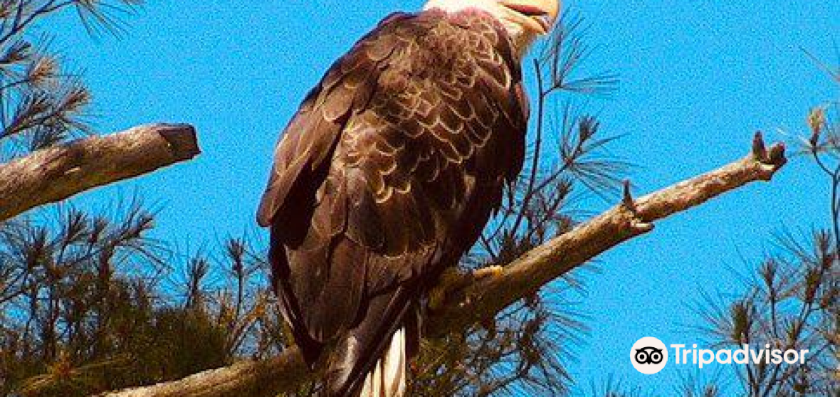 Hartland Travel Guide 2023 Things to Do, What To Eat & Tips