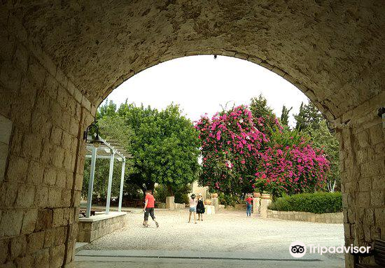Neve Shalom