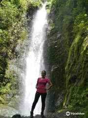 Parque Nacional Podocarpus