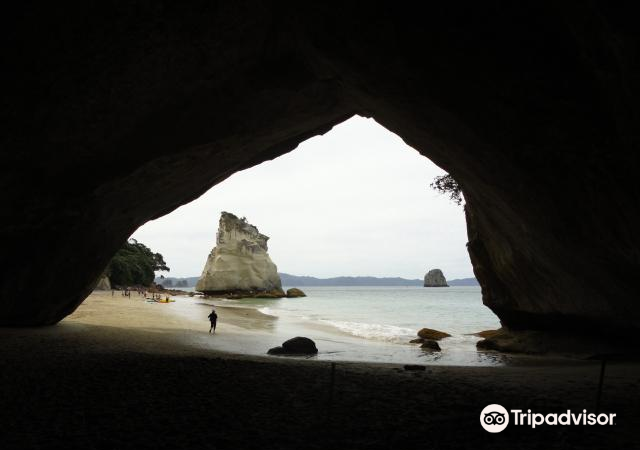 Cathedral Cove Travel Guidebook Must Visit Attractions In Hahei Cathedral Cove Nearby Recommendation Trip Com