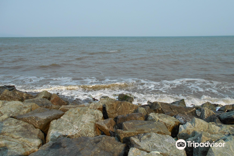 Hamayuchi Rest House Kohone House 旅遊攻略指南 Hamayuchi Rest House Kohone House 評論 Hamayuchi Rest House Kohone House 附近推薦 Trip Com