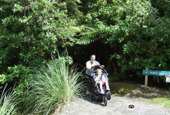 Tunnel Gully Popular Attractions Photos