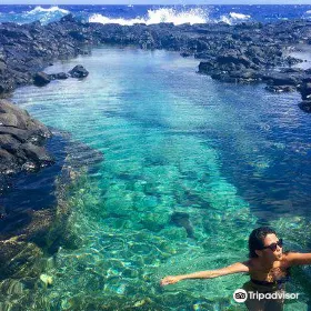 Makapu’u Point Tide Pools