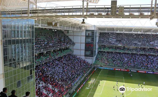 Arena Independencia - Campo do América Futebol Clube MG2