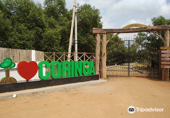 Coringa Wildlife Sanctuary attraction reviews - Coringa Wildlife Sanctuary  tickets - Coringa Wildlife Sanctuary discounts - Coringa Wildlife Sanctuary  transportation, address, opening hours - attractions, hotels, and food near Coringa  Wildlife ...
