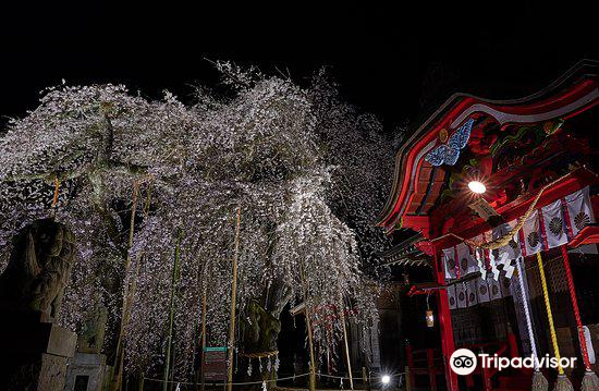 いわき 小川諏訪神社 評判 案内 トリップドットコム