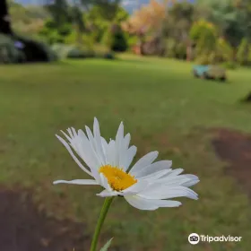 El Explorador Gardens