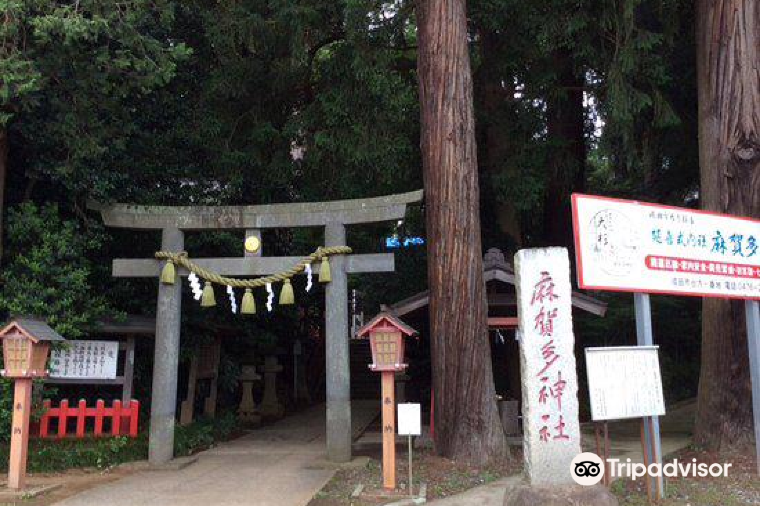 22成田市熱門推薦活動 成田市旅遊攻略 成田市人氣推介景點門票 酒店 好去處 餐飲及餐廳 Trip Com