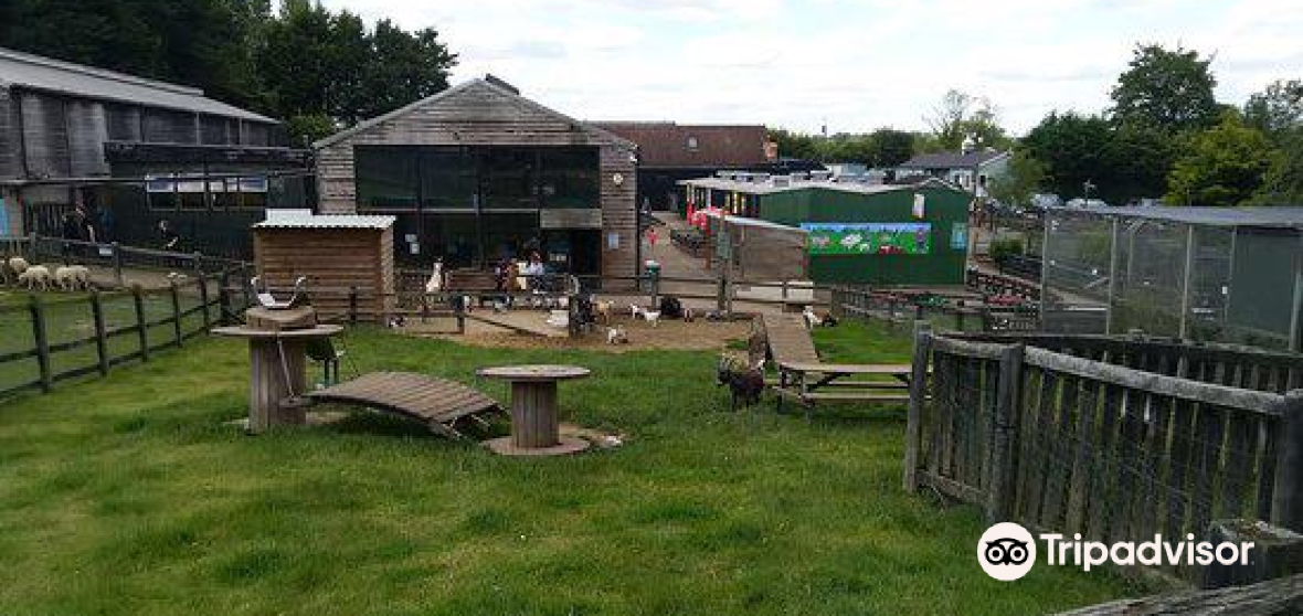 10 Best Things to do in Luton, Bedfordshire Luton travel guides 2021