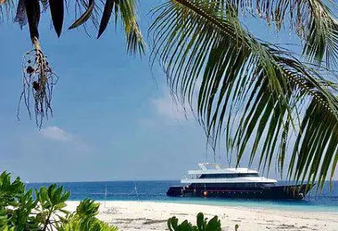 Azalea Cruise รูปภาพAttractionsยอดนิยม
