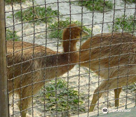 Kolkata Zoo & Zoological Garden