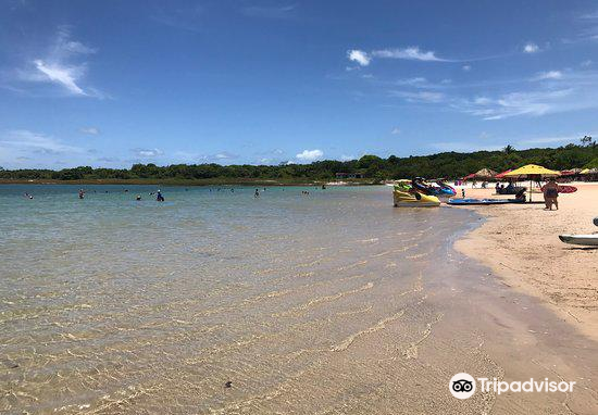 Lagoa do Carcara attraction reviews - Lagoa do Carcara tickets - Lagoa do Carcara discounts - Lagoa do Carcara transportation, address, opening hours - attractions, hotels, and food near Lagoa do Carcara Lagoa do Carcara attraction reviews - Lagoa do Carcara tickets - Lagoa do Carcara discounts - Lagoa do Carcara transportation, address, opening hours - attractions, hotels, and food near Lagoa do Carcara
