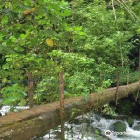 Savegre Reserve
