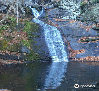 Hornsbeck Creek Falls