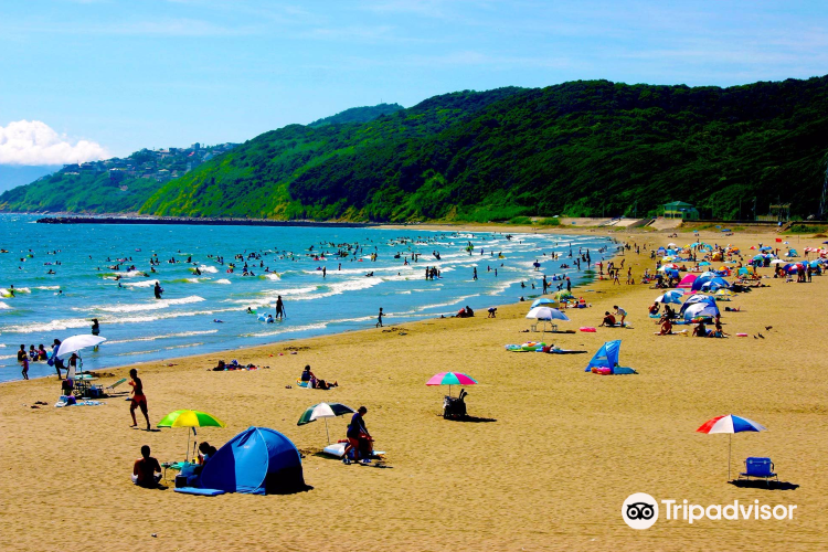 和歌山 磯の浦海水浴場 評判 案内 トリップドットコム