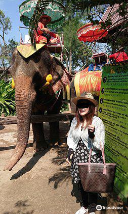 Chang Puak Camp Damnoensaduak Travel Guidebook Must Visit Attractions In Damnoen Saduak Chang Puak Camp Damnoensaduak Nearby Recommendation Trip Com Chang Puak Camp Damnoensaduak Travel Guidebook Must Visit Attractions In Damnoen Saduak Chang Puak Camp Damnoensaduak Nearby Recommendation Trip Com