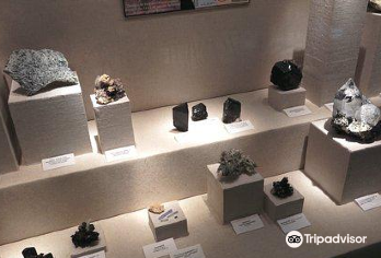 Mineralogisches Museum Popular Attractions Photos