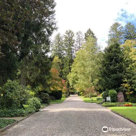 Friedhof Fluntern