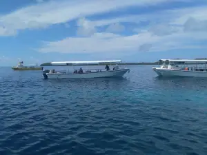 Neco Marine Palau