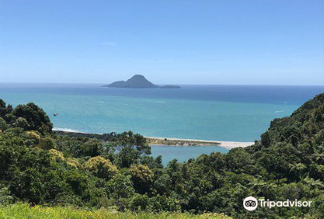 Kohi Point Lookout Road