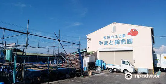 大和郡山 郡山金魚資料館 評判 案内 トリップドットコム