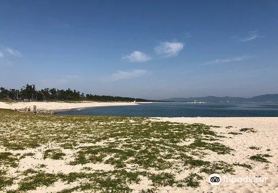 Yumigahama Beach