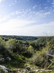 Bosco delle Pianelle Natural Reserve