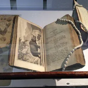 Portico Library