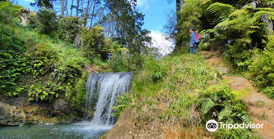 Oakley Creek Walkway attraction reviews - Oakley Creek Walkway tickets -  Oakley Creek Walkway discounts - Oakley Creek Walkway transportation,  address, opening hours - attractions, hotels, and food near Oakley Creek  Walkway 