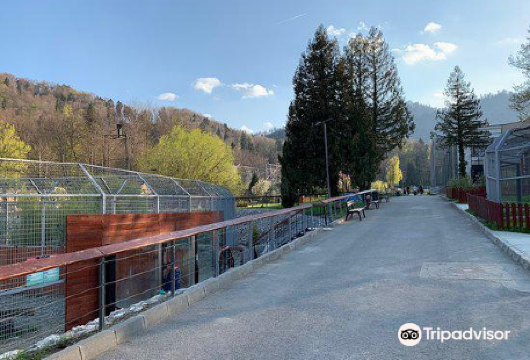 Zoo Parks Attractions 17 Great Attractions In Sighisoara Travel With Trip Com