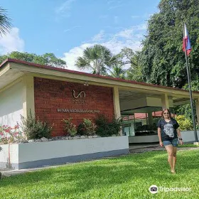 Balangay Shrine Museum