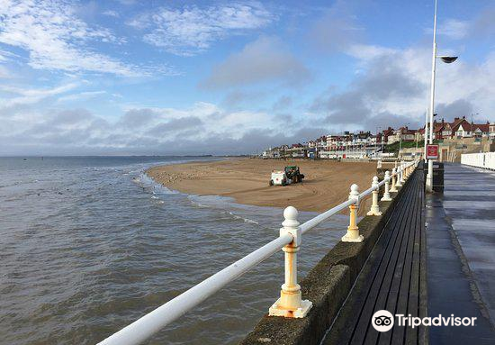 are dogs allowed on bridlington south beach