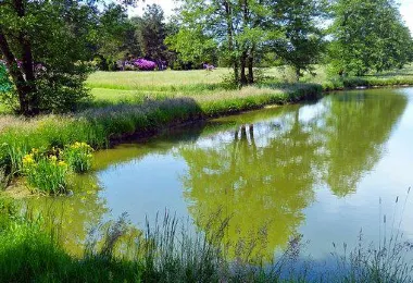 Rhododendronpark Jansen รูปภาพAttractionsยอดนิยม